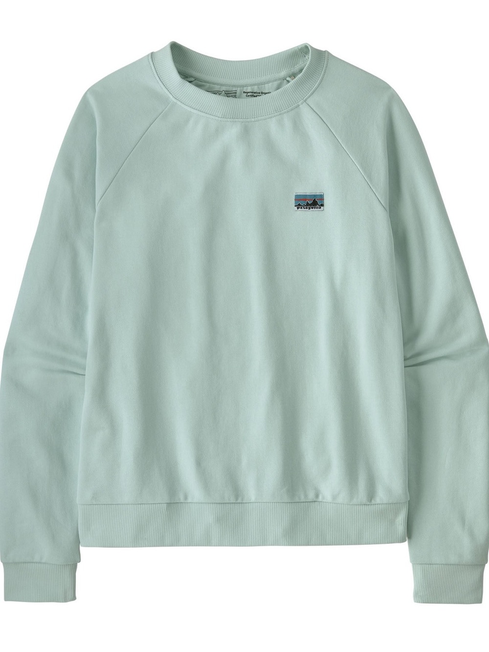 Patagonia Women's Crewneck Sweatshirt in a Mint Light Blue